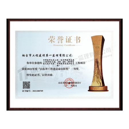 万科城市之光工程