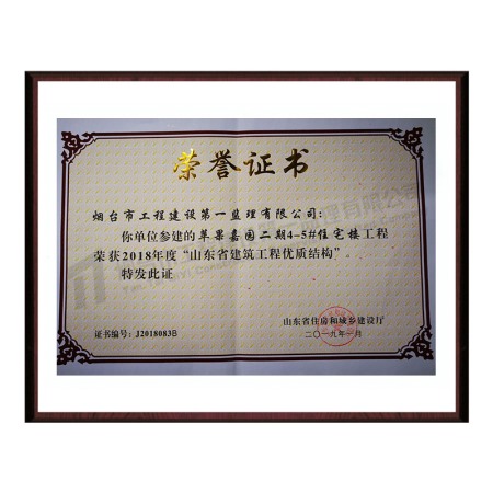 2018年山东省优质工程——苹果嘉园