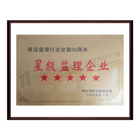 2019年星级监理企业