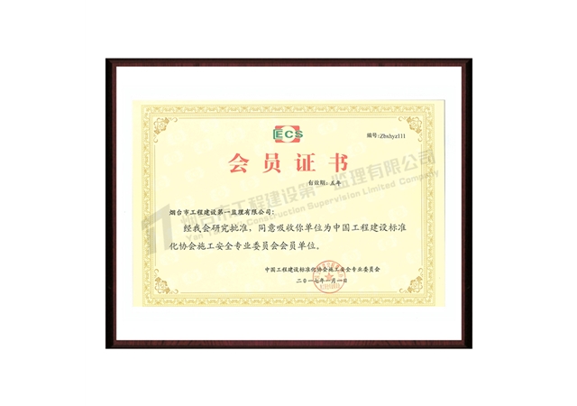 2017标准施工企业