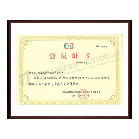 2017标准施工企业