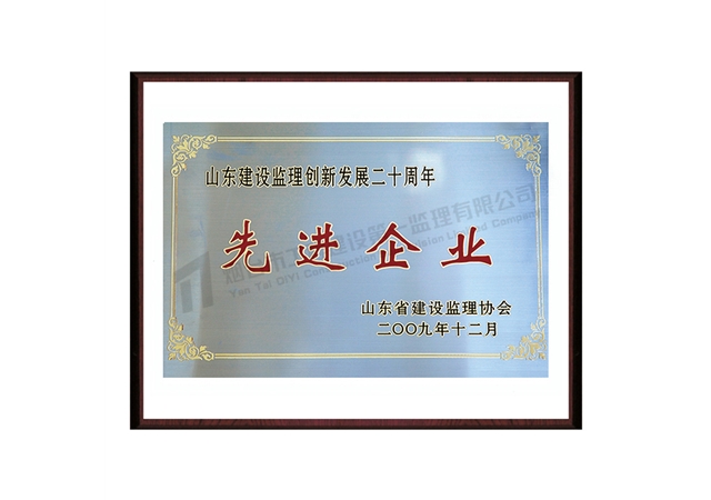 2009年先进企业