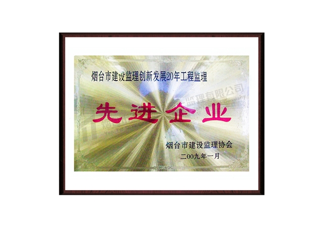 2009创新发展20年先进企业