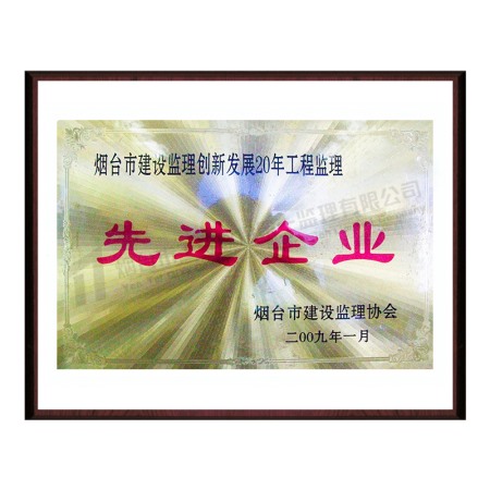 2009创新发展20年先进企业