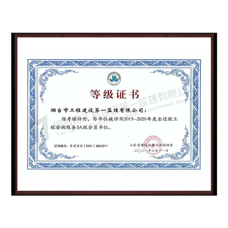 2019--2020年度全过程工程咨询服务3A级会员单位